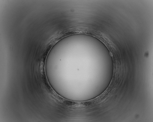 X0000098040696200803280754