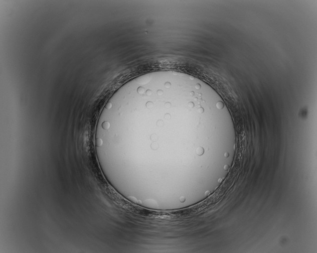 X0000098040698200803280754