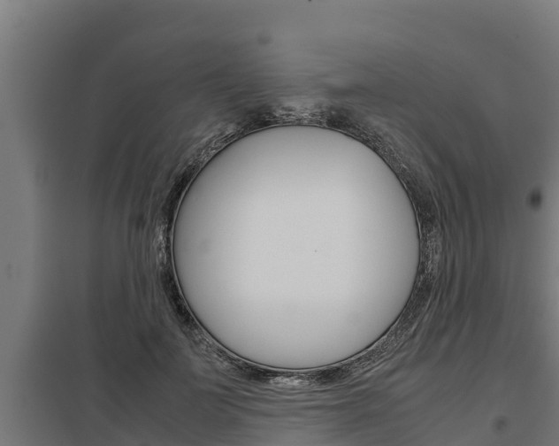 X0000098040699200803280754