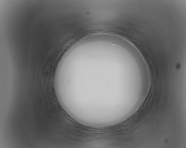 X0000098040701200803280754