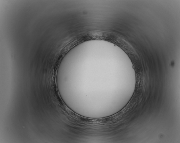 X0000098040702200803280754