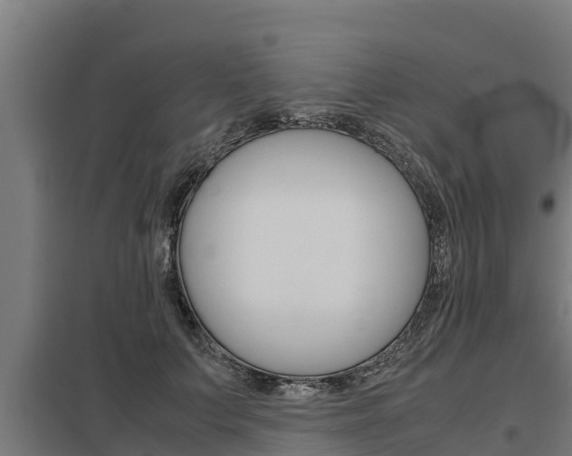X0000098040703200803280754
