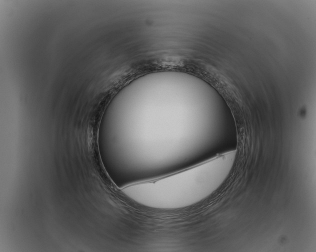 X0000098040704200803280754