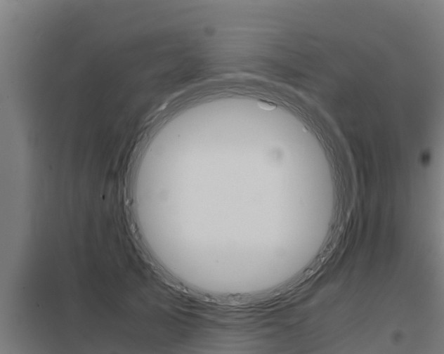 X0000098040705200803280754