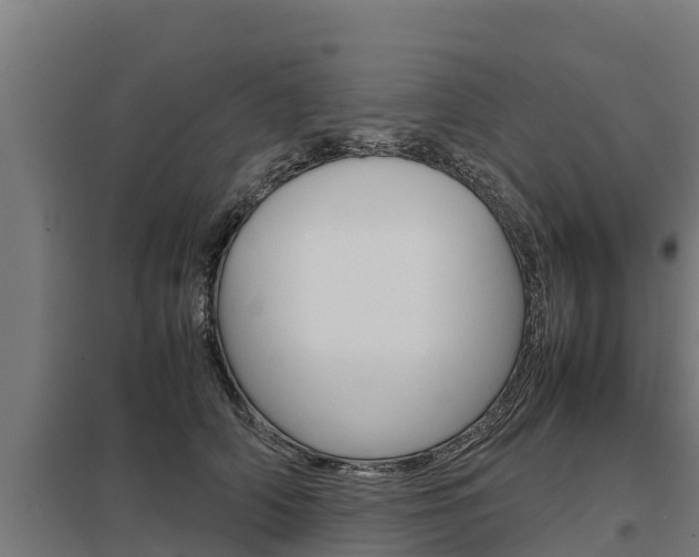 X0000098040706200803280754