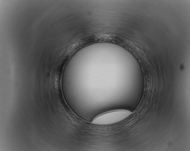 X0000098040708200803280754
