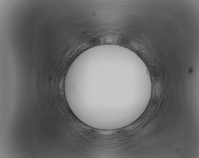 X0000098040709200803280754