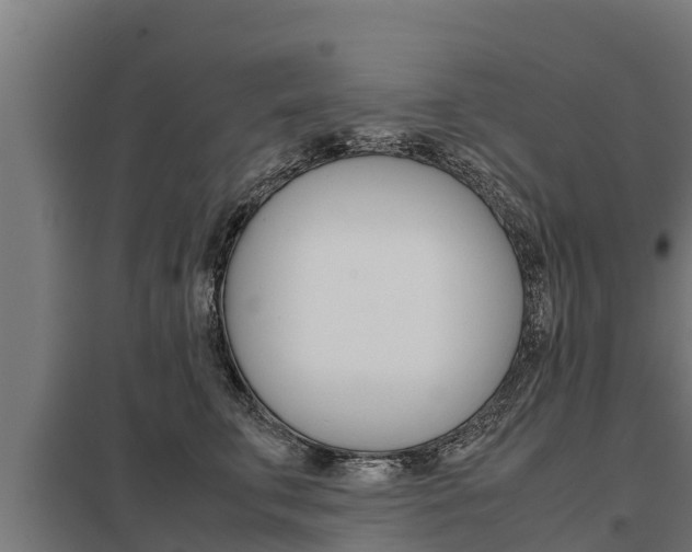 X0000098040711200803280754