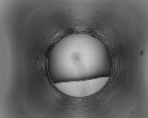 X0000098040712200803280754