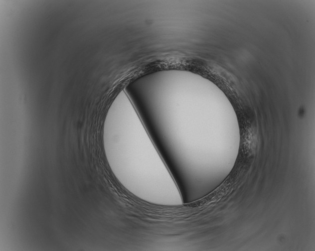 X0000098040715200803280754