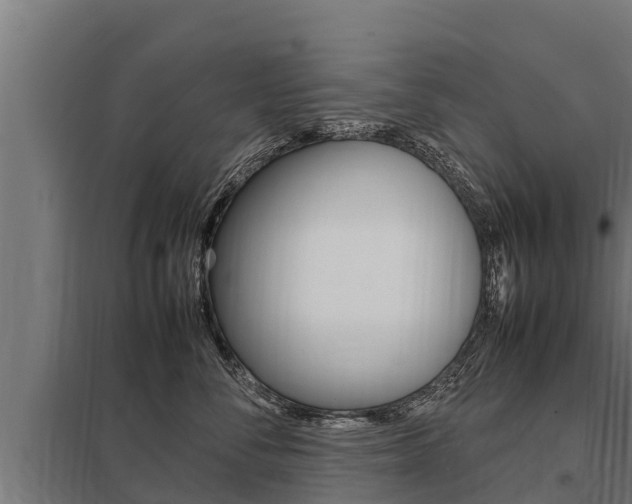 X0000098040716200803280754