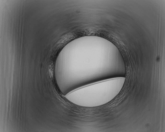 X0000098040719200803280754