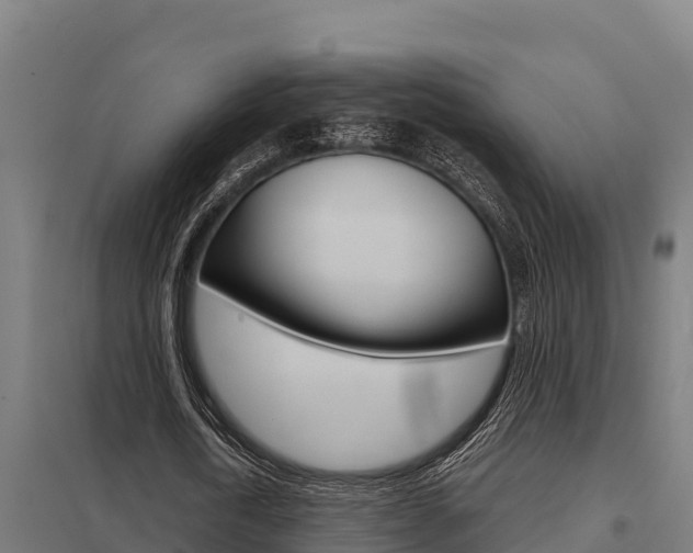 X0000098040722200803280753