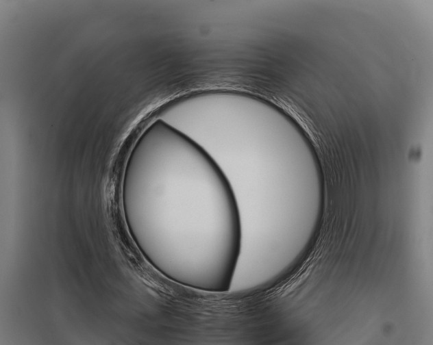 X0000098040723200803280753