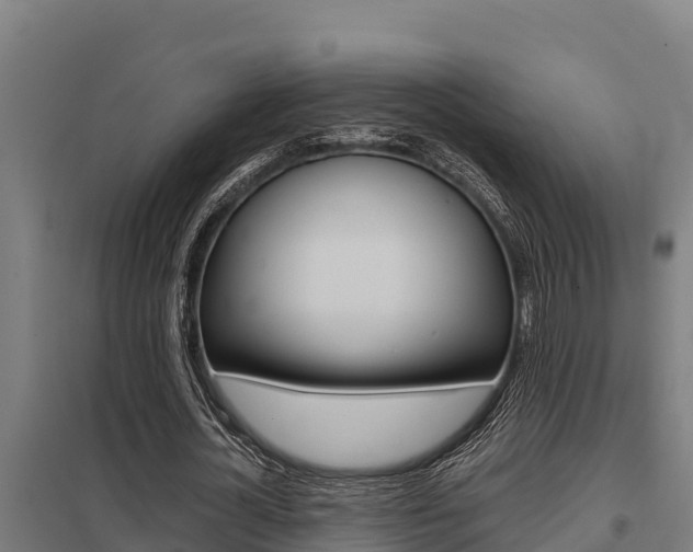 X0000098040724200803280753