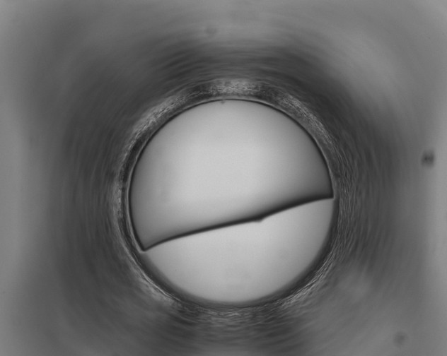 X0000098040725200803280753
