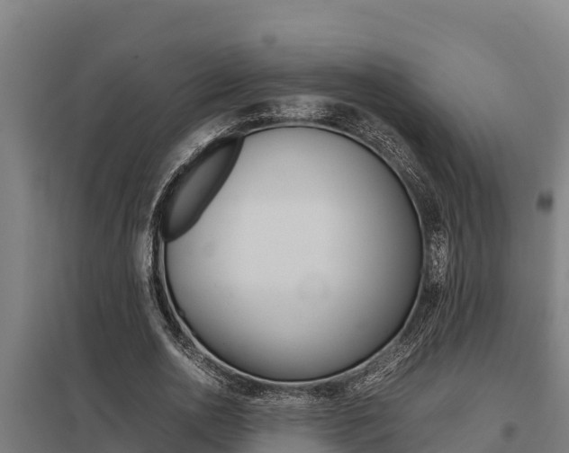 X0000098040726200803280753
