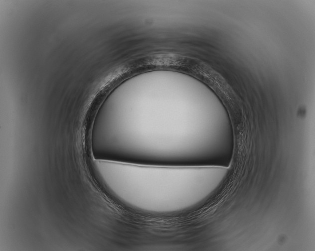 X0000098040727200803280753