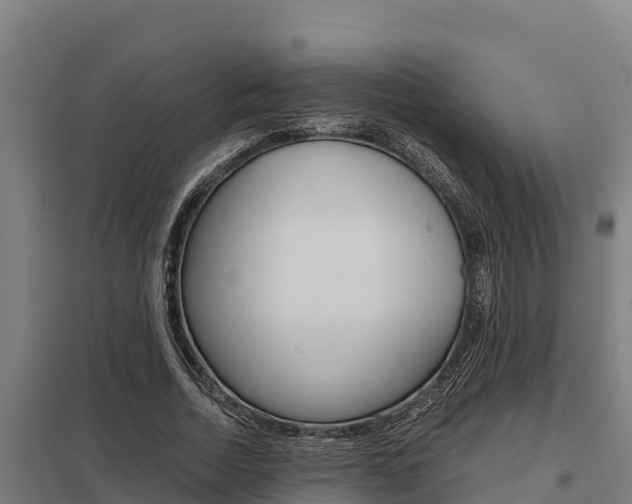 X0000098040730200803280753