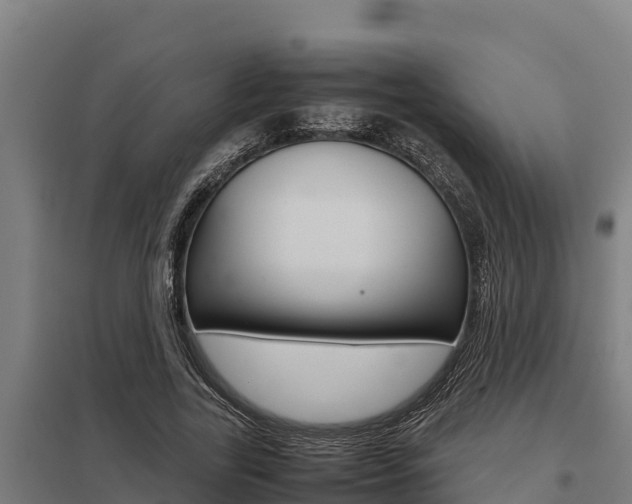 X0000098040731200803280753