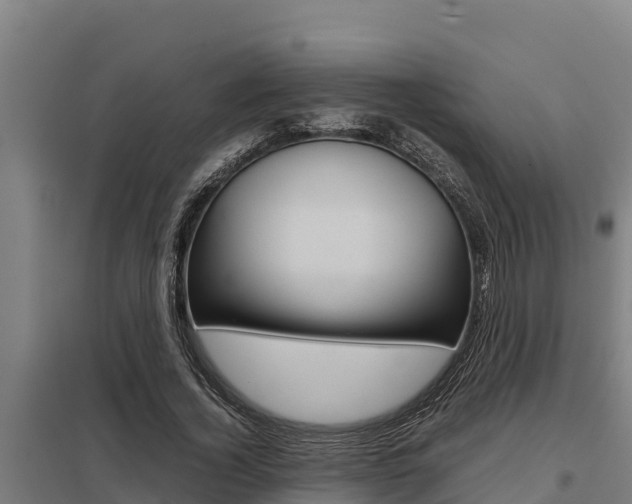 X0000098040732200803280753