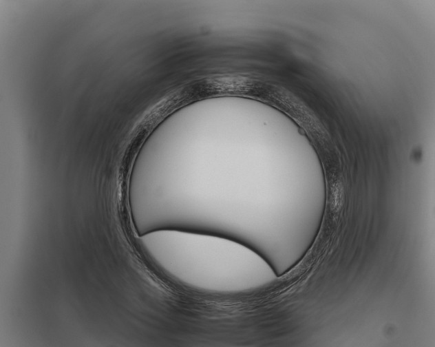 X0000098040733200803280753
