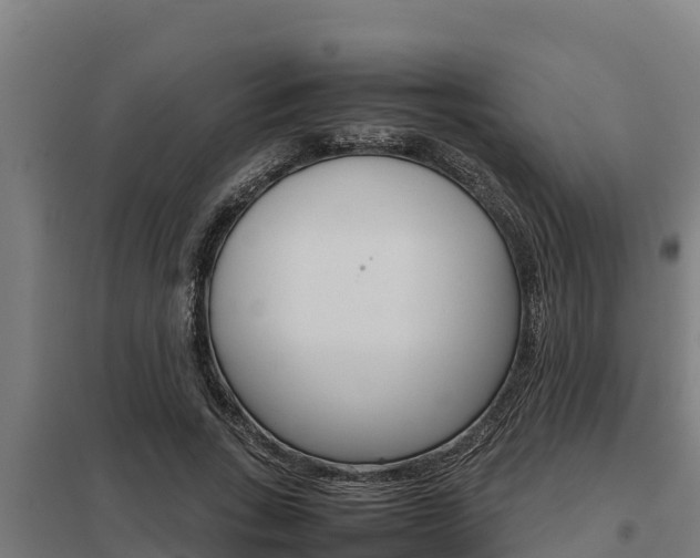 X0000098040735200803280754
