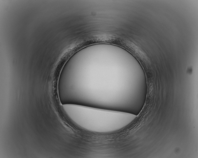 X0000098040736200803280754