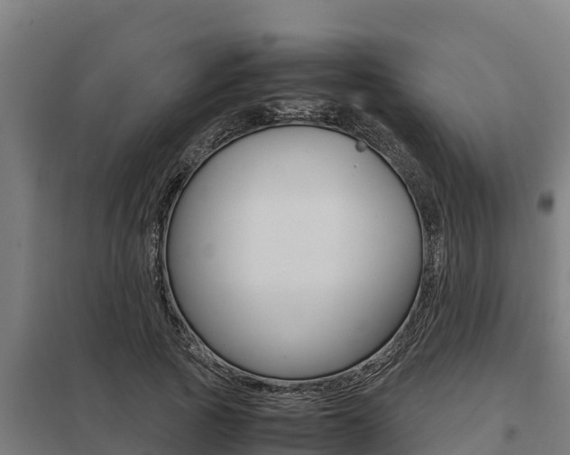 X0000098040737200803280754
