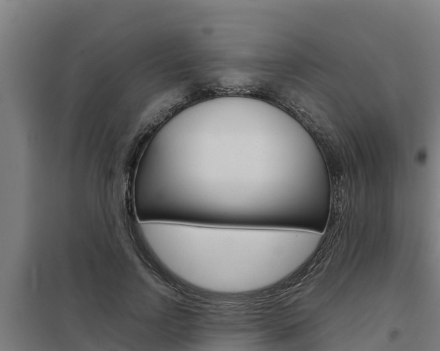 X0000098040742200803280754