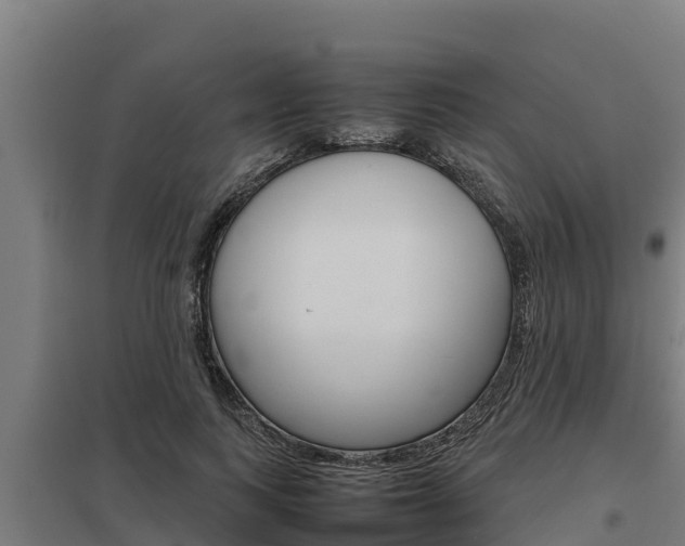X0000098040743200803280754