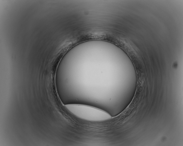 X0000098040744200803280754
