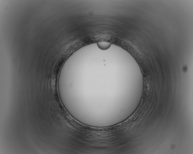 X0000098040745200803280754