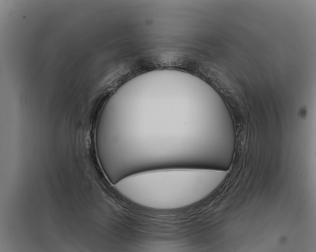 X0000098040746200803280754