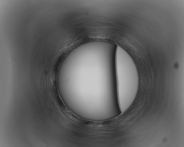 X0000098040747200803280754