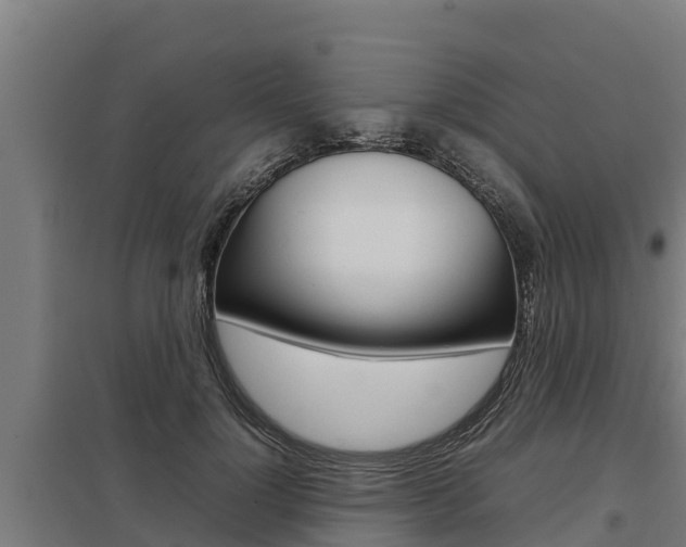 X0000098040748200803280754