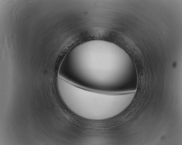 X0000098040750200803280754