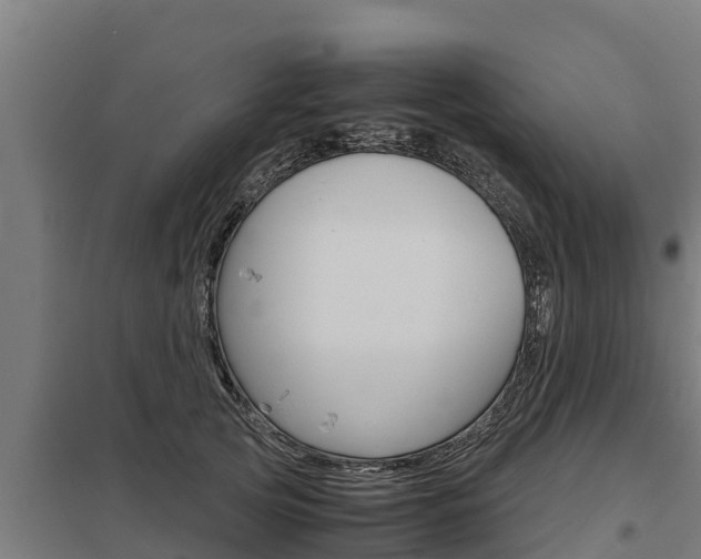 X0000098040753200803280754