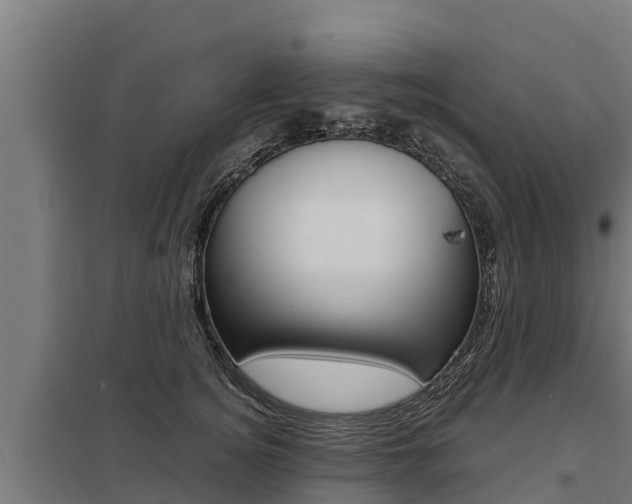 X0000098040756200803280754