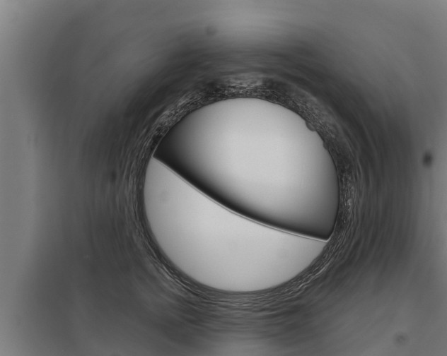 X0000098040758200803280754
