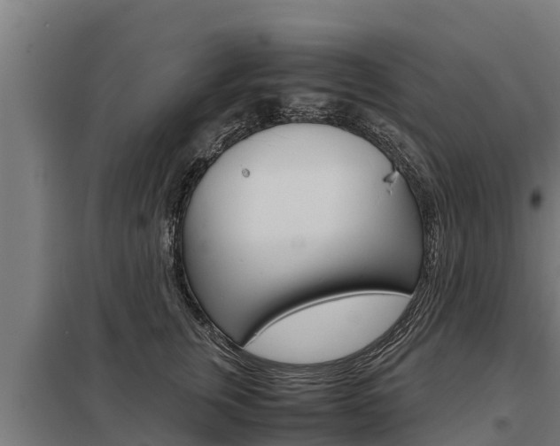 X0000098040759200803280754