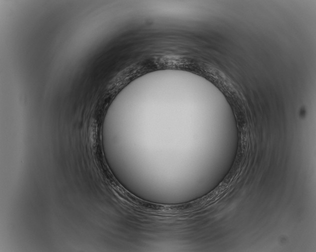 X0000098040760200803280754