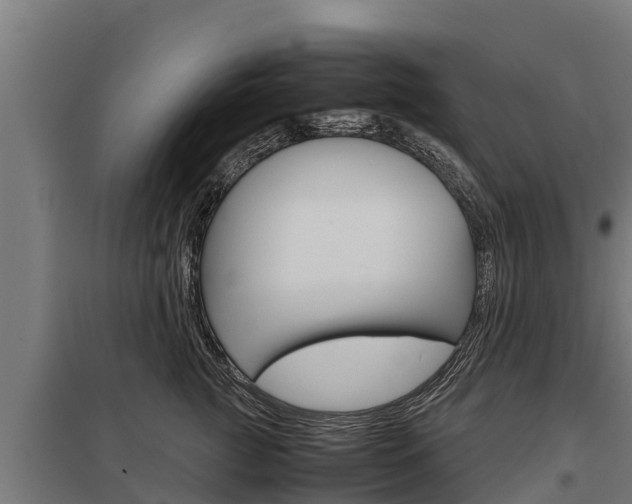 X0000098040761200803280754
