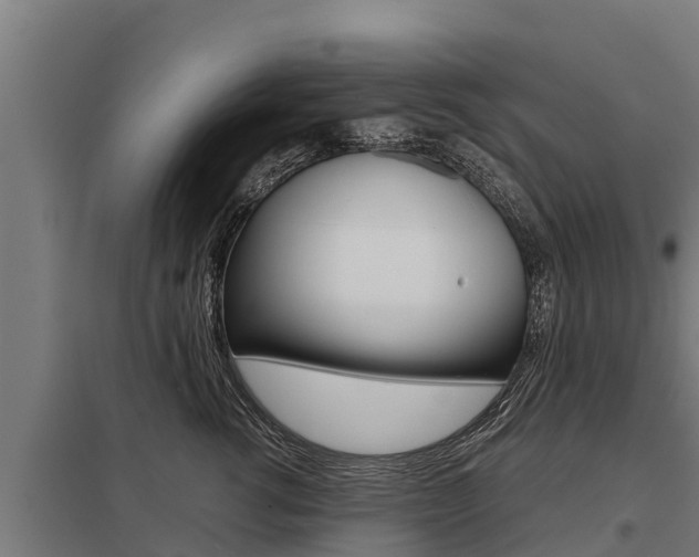X0000098040762200803280754