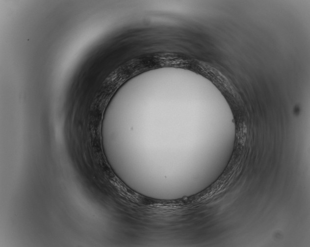 X0000098040763200803280754