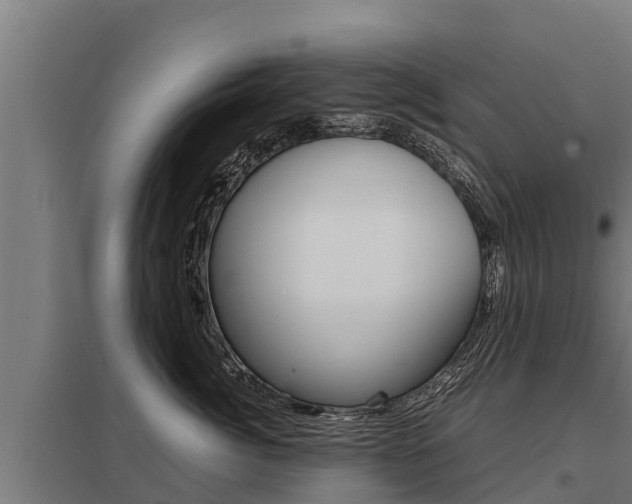 X0000098040764200803280754