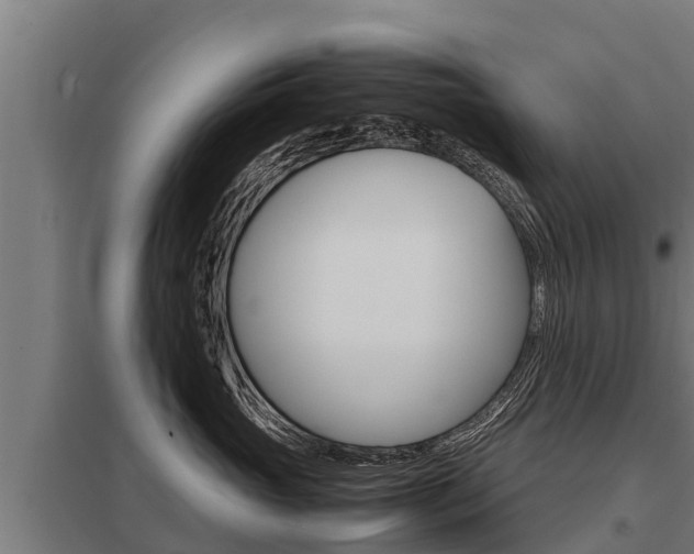 X0000098040765200803280754