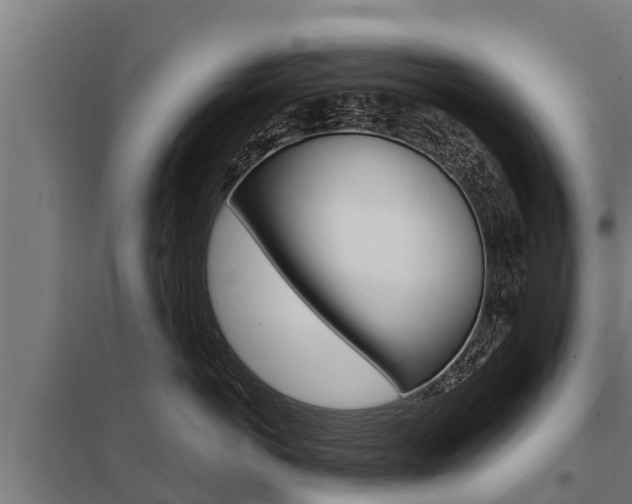 X0000098040766200803280754
