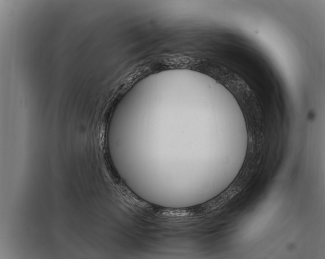 X0000098040767200803280754