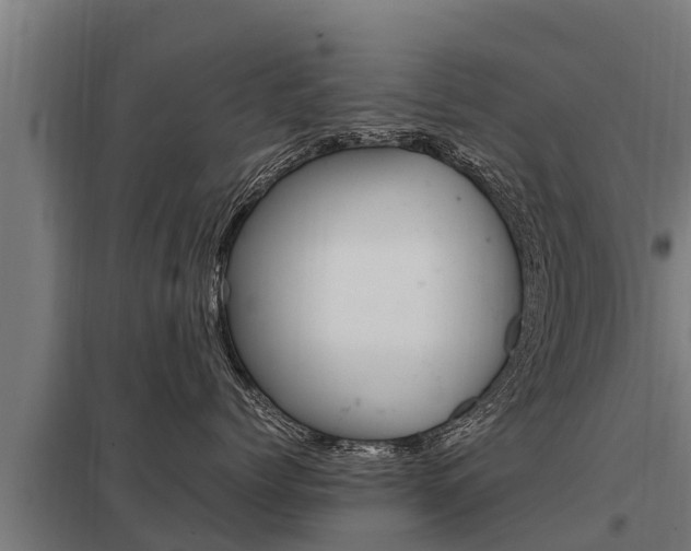 X0000098040768200803280754